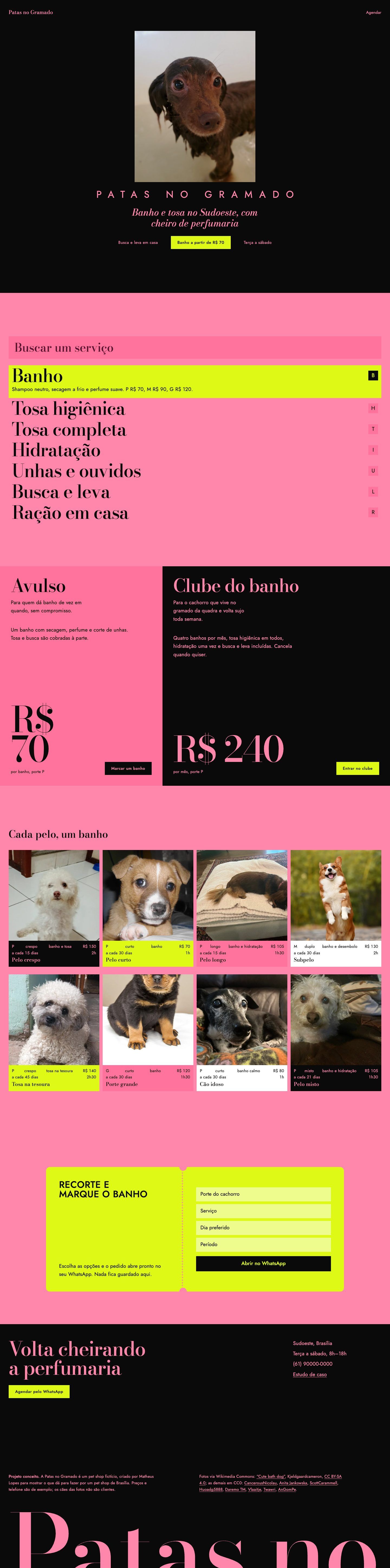 Página inteira da Patas no Gramado no computador, com a lista de serviços sobre fundo rosa, os dois planos, as fotos de cachorros com etiquetas de preço e o cupom de agendamento