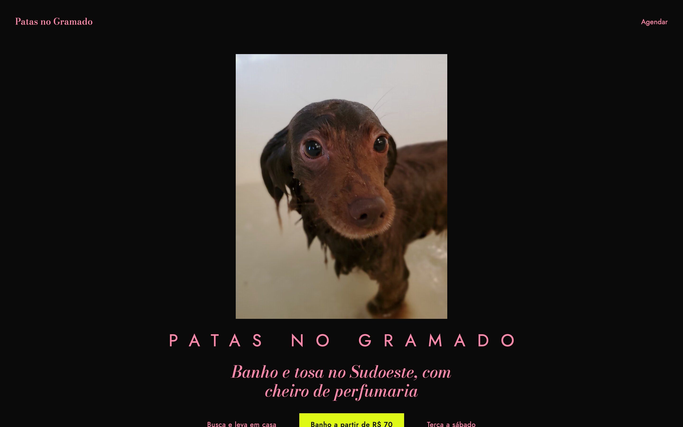 Primeira tela do site da Patas no Gramado no computador, com a foto de um cachorro molhado na banheira sobre fundo preto e o nome do pet shop em letras rosa bem espaçadas